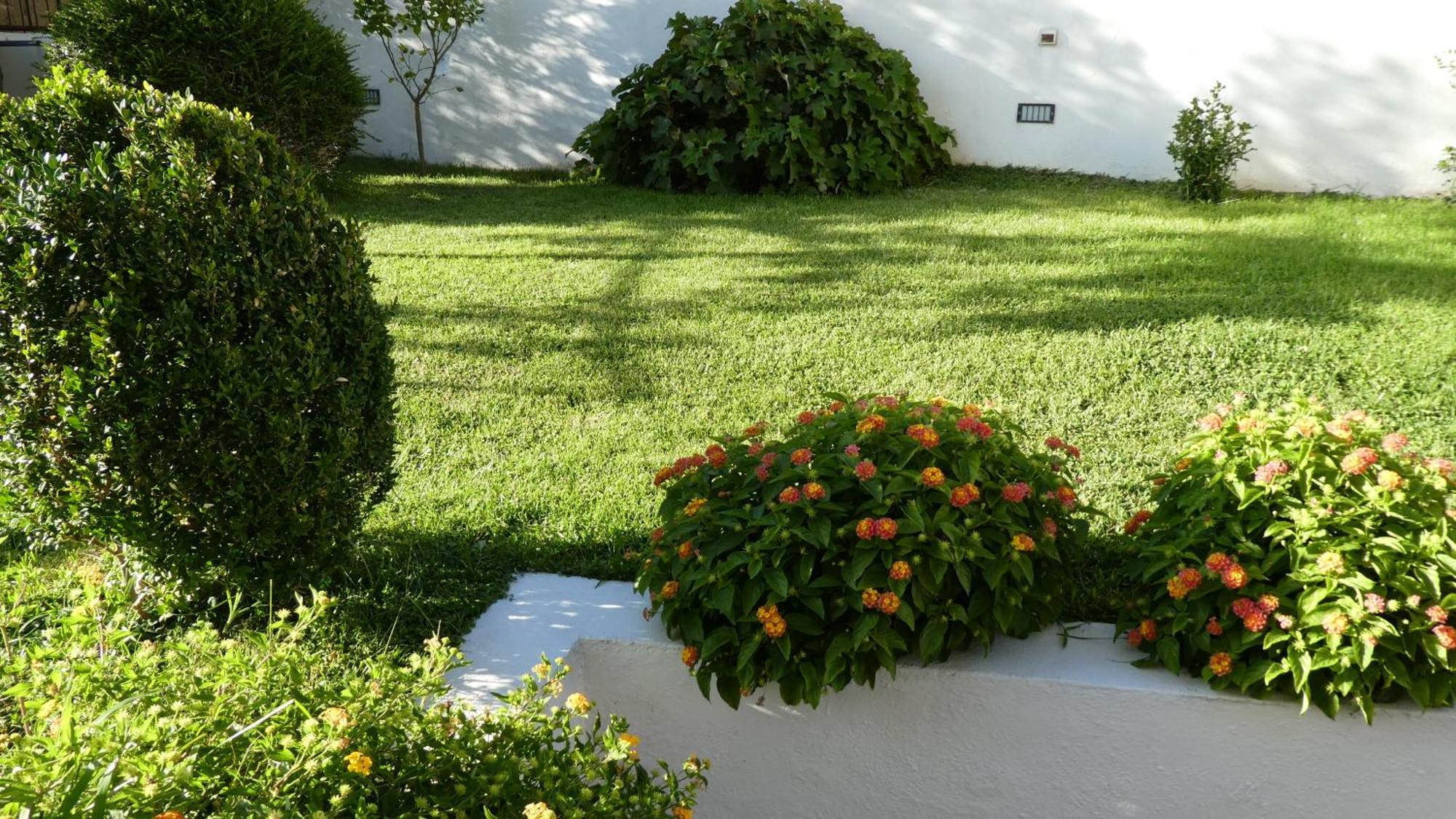 B&B Oliena Extérieur photo