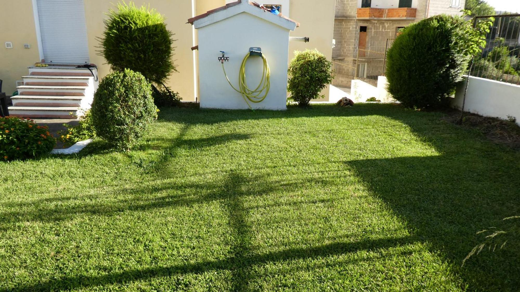 B&B Oliena Extérieur photo
