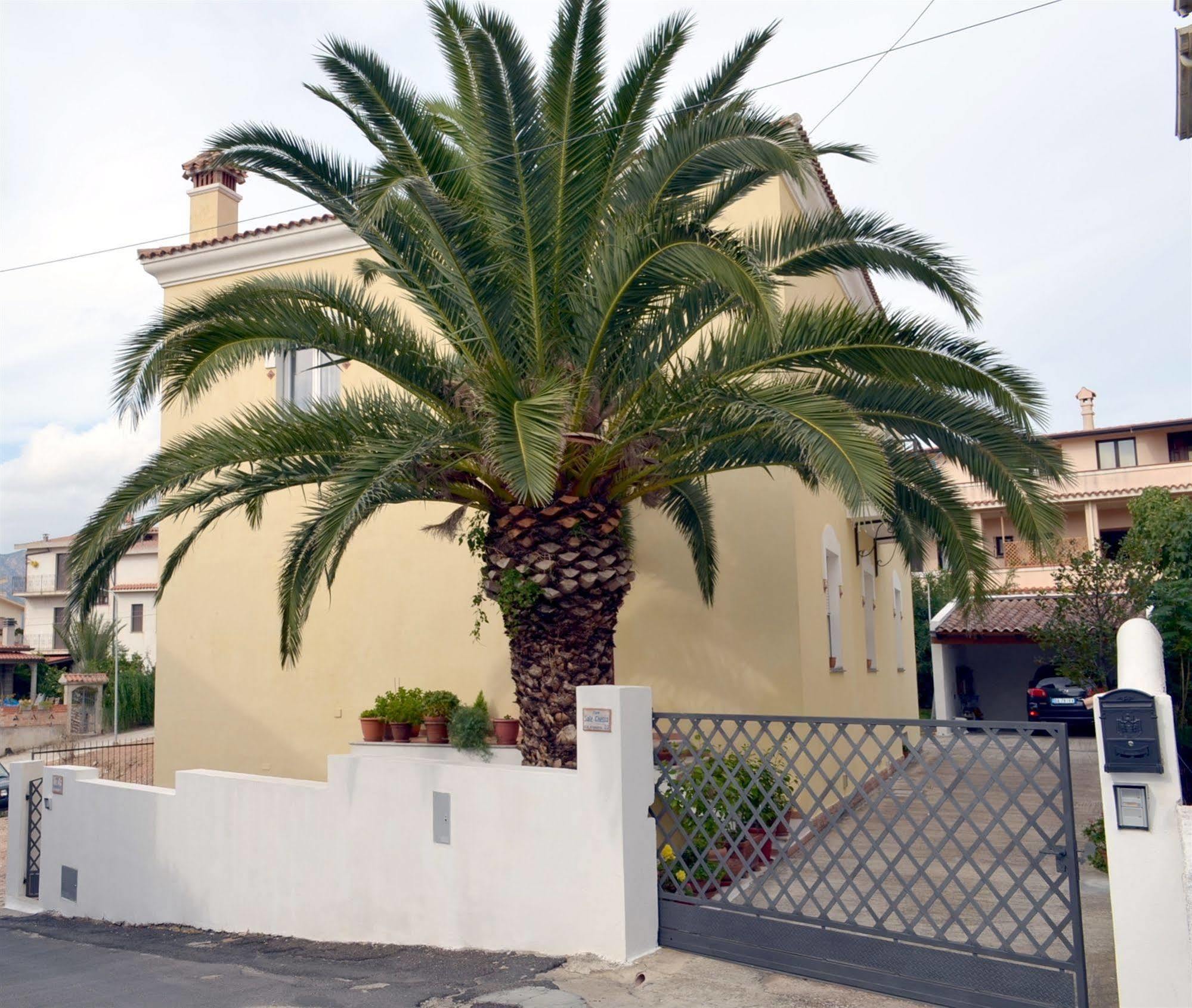 B&B Oliena Extérieur photo
